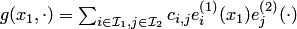 $g(x_1,\cdot)=\sum_{i\in {\cal I}_1,j\in {\cal I}_2} c_{i,j}e^{\left(1\right)}_i(x_1)e^{\left(2\right)}_j(\cdot)$