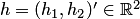 $h=(h_1,h_2)'\in \mathbb R^2$