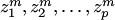 $z^m_1,z^m_2,\ldots,z^m_p$